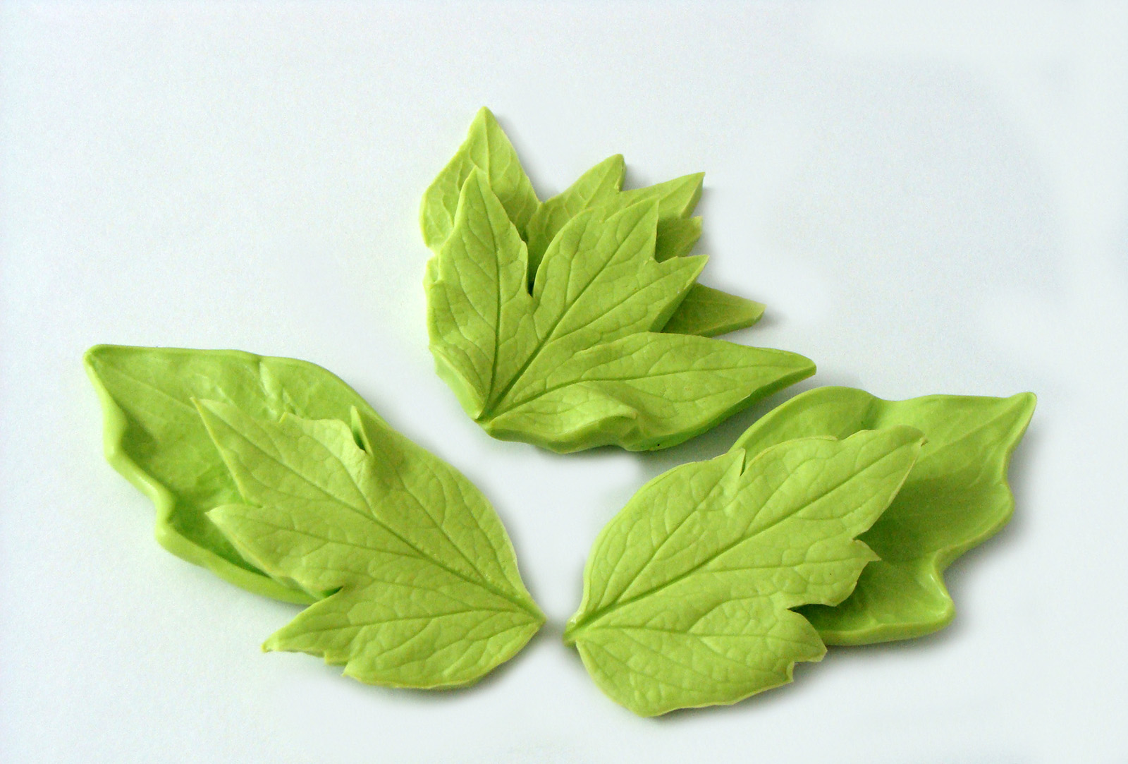 BUJOR frunze "Tree Peony"