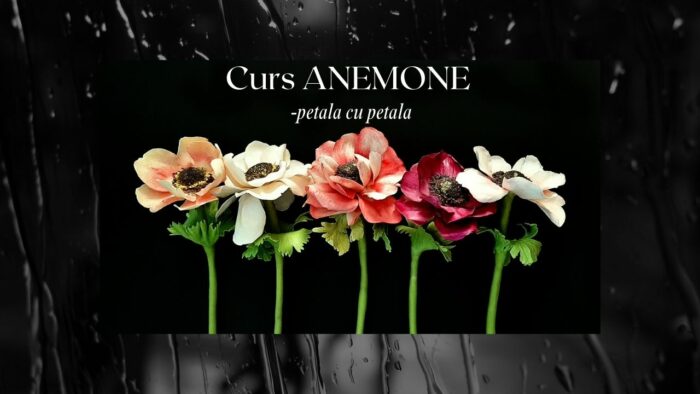 Curs Anemone (Hearty Soft și Modena sau Thai clay) - online: 02h:16min