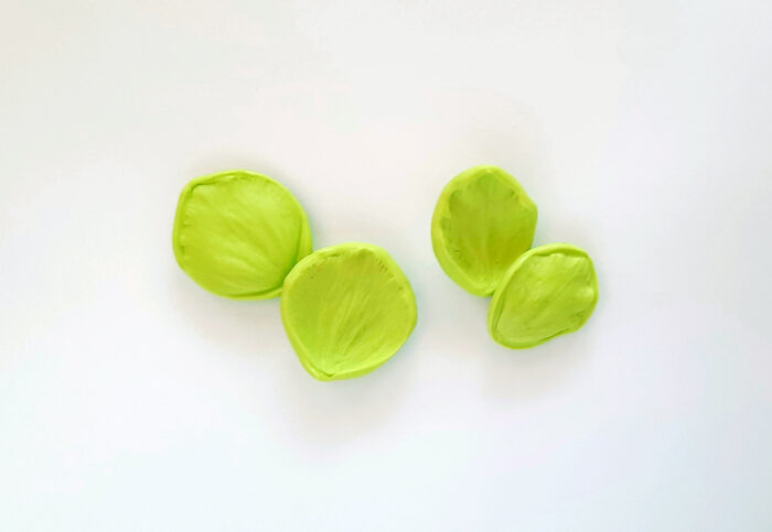 SPANZ / HELLEBORUS set petale